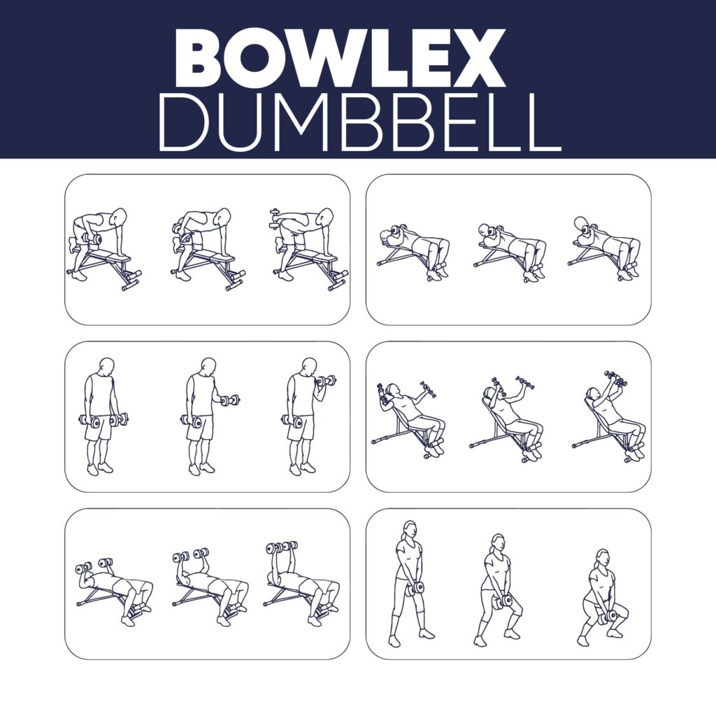 10 Best Dumbbell Exercises Chart Printable Printablee