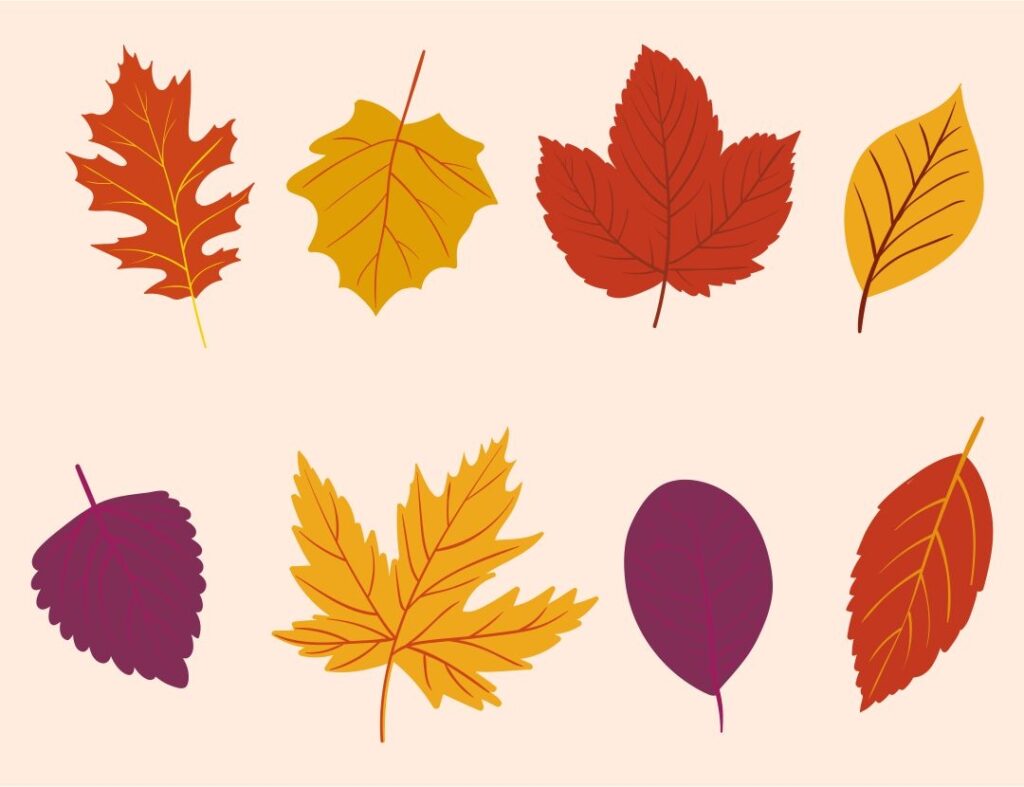 Fall Leaves Printable Free
