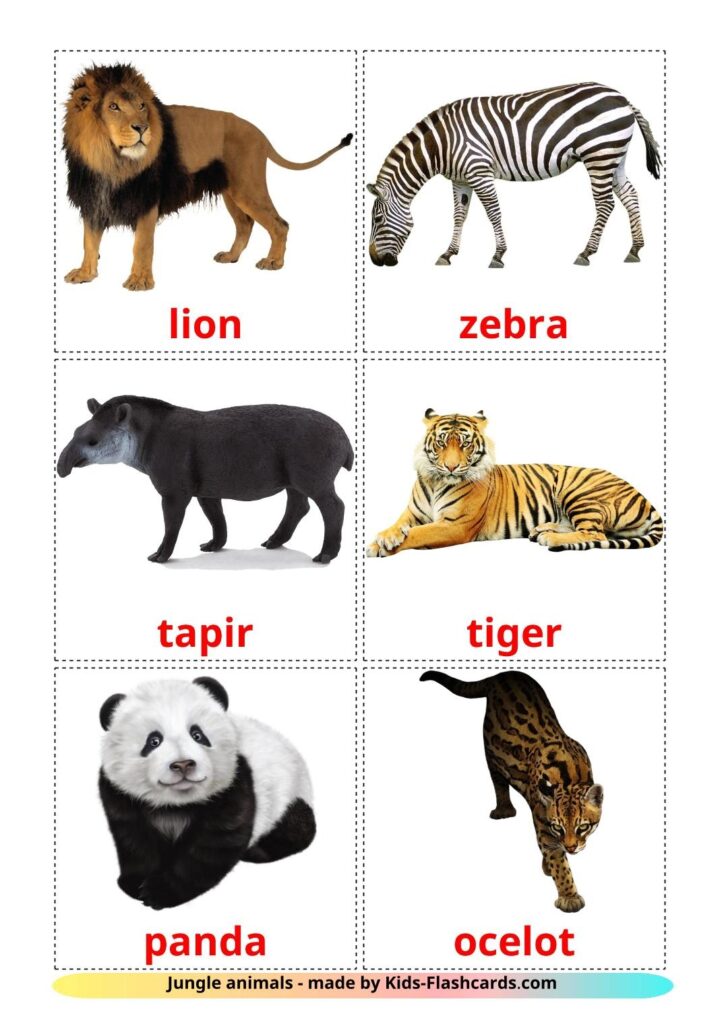 21 FREE Jungle Animals Flashcards In 4 PDF Formats English Pictures