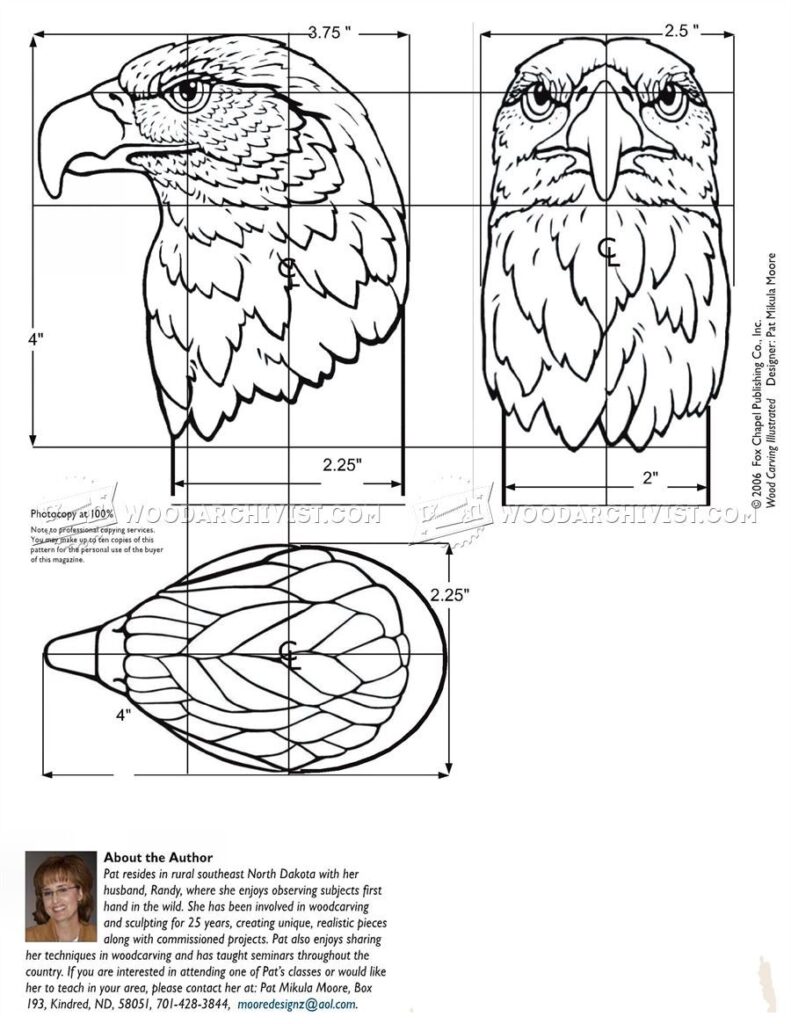2138 Carving Eagle Bust Wood Carving Wood Carving Patterns Wood Carving Art Unique Wood Carving