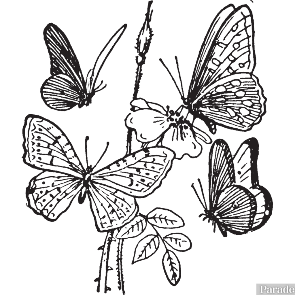 25 Free Printable Butterfly Coloring Pages Parade Entertainment Recipes Health Life Holidays