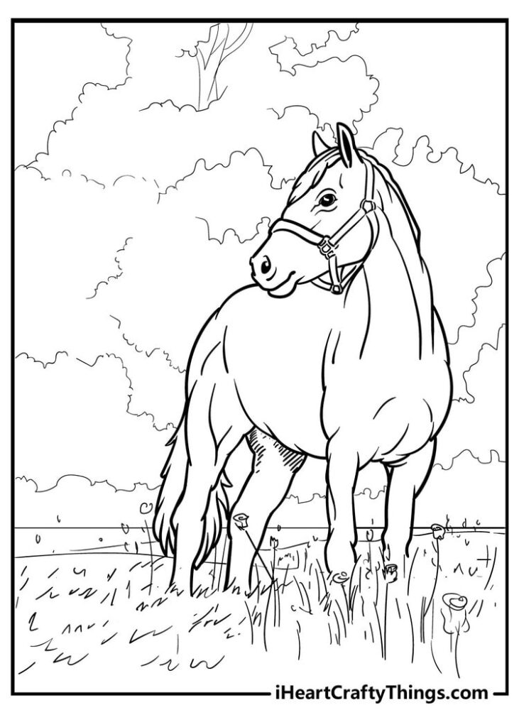 40 Horse Coloring Pages 100 Free Uploaded 2022 