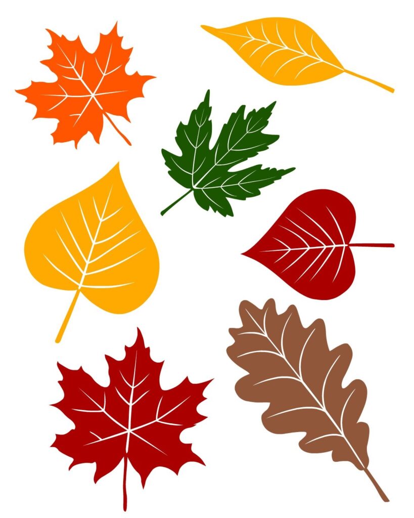 5 Fall Circle Time Lessons With FREE Printables Leaf Crafts Autumn Leaves Craft Fall Crafts