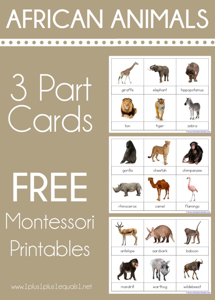 African Animals Montessori Printables FREE 3 Part Cards 1 1 1 1