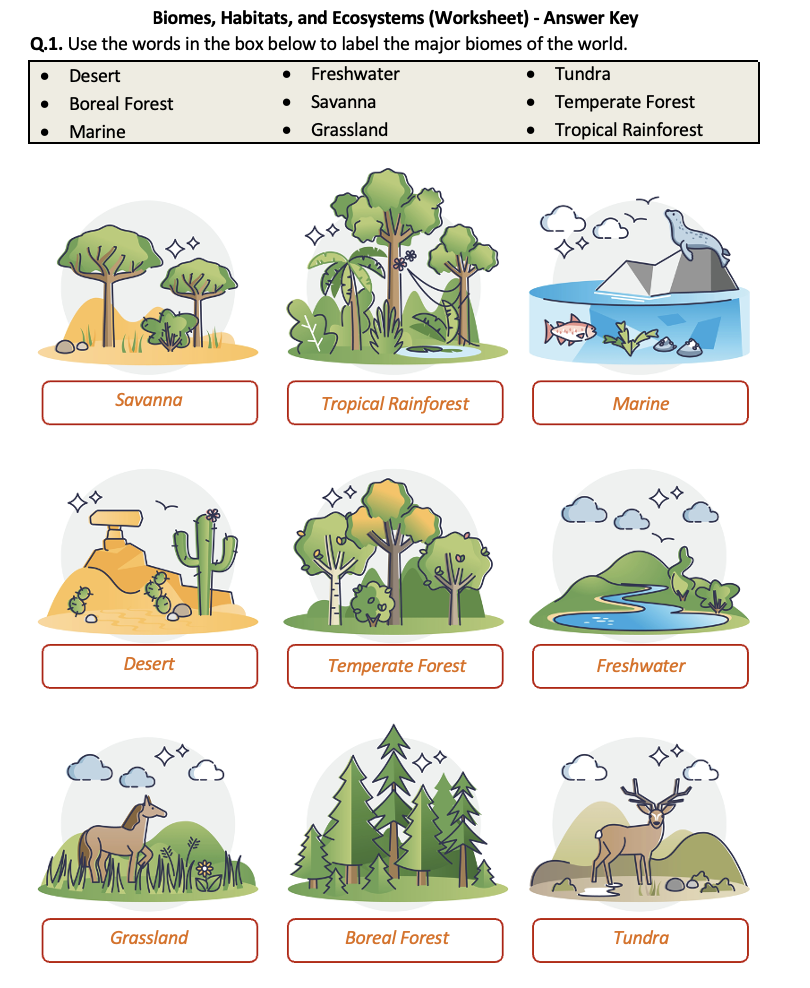 Biomes Habitats And Ecosystems Worksheet Printable And Distance Learning Teaching Resources