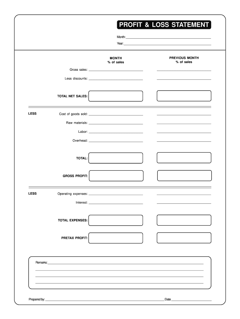 Blank Profit And Loss Statement Pdf Fill Out Sign Online DocHub