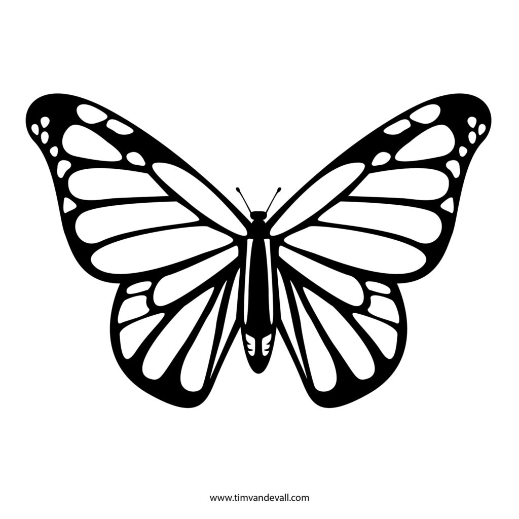 Butterfly Stencil Tim s Printables Butterfly Outline Butterfly Drawing Butterfly Coloring Page