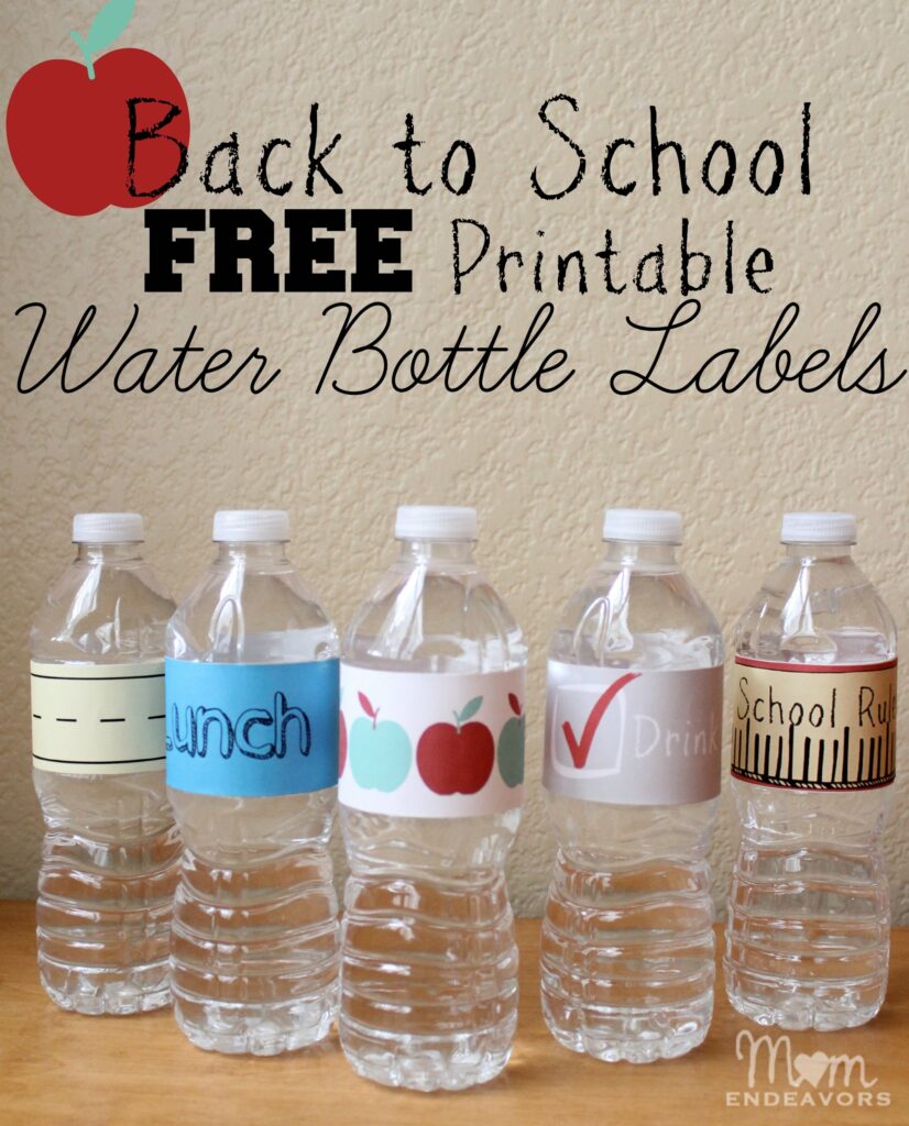 Convenient Fun Drinks For Back To School Lunches with Free Printables BTSIdeas Mom Endeavors