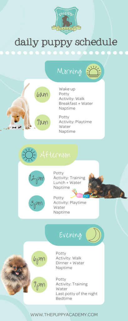 Daily Routine Printable Puppy Schedule - Free Printable Templates