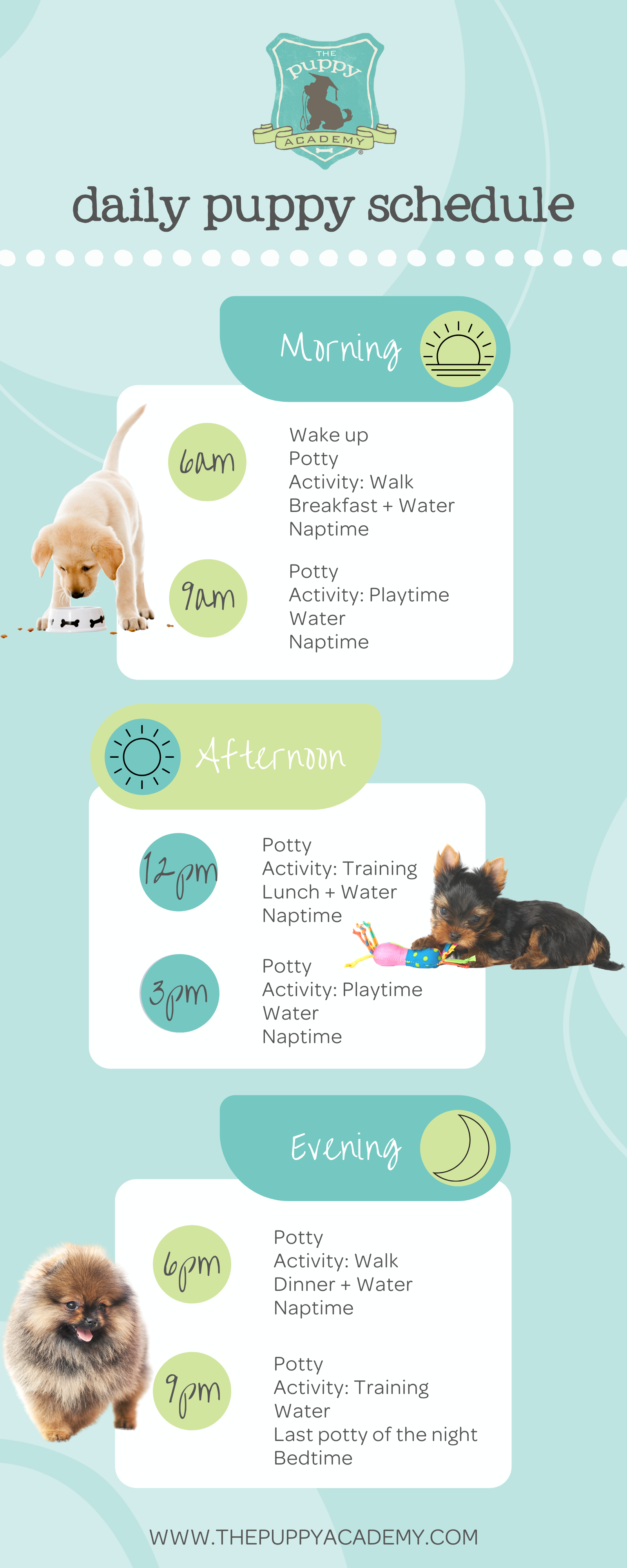 Create A Daily Puppy Schedule The Puppy Academy