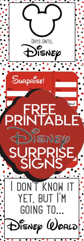 Disney World Surprise Announcement Sign With Countdown And Fake Ticket Boarding Pass