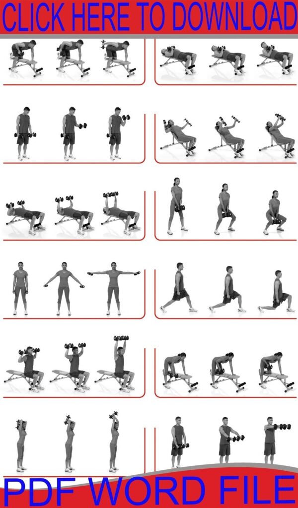 Dumbbell Workouts Bowflex Workout Dumbbell Workout Workout Posters