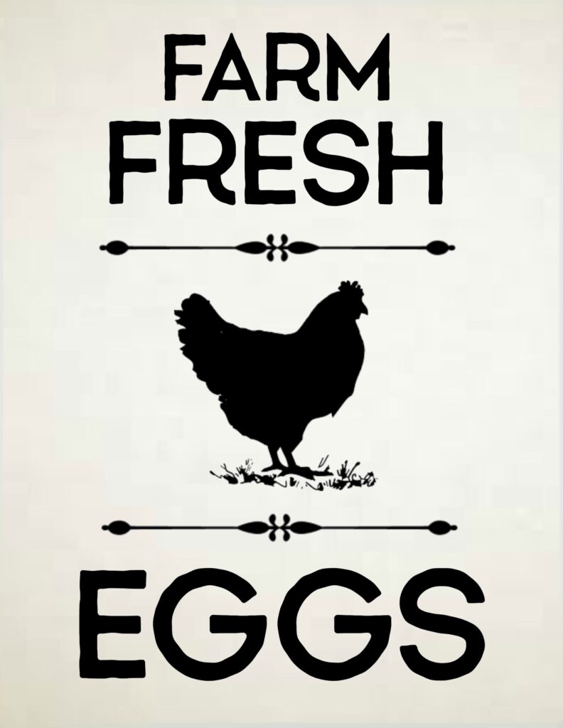 Farm Fresh Eggs Fresh Eggs Farm Prints