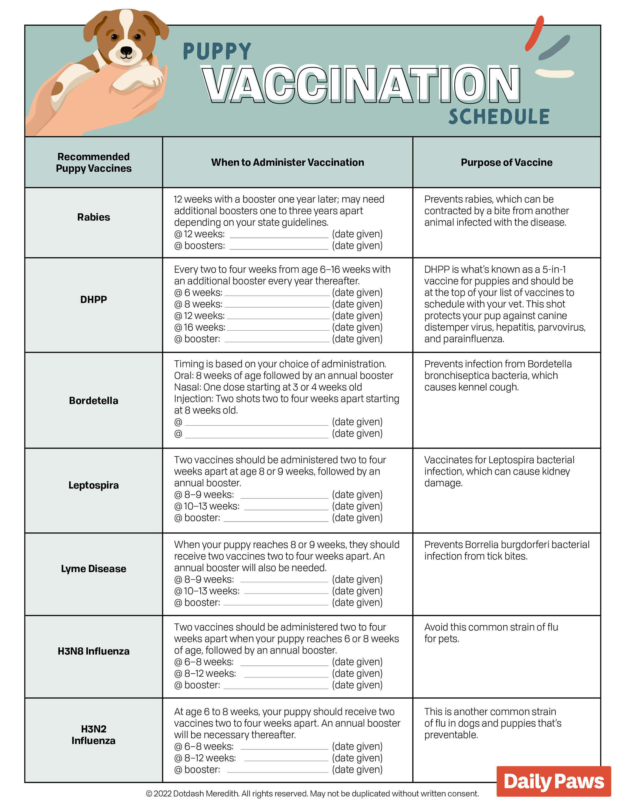 First Year Puppy Vaccination Schedule Chart To Follow Daily Paws