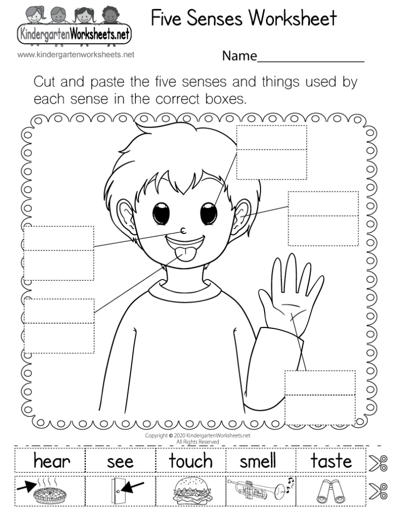 Five Senses Worksheet For Kindergarten Free Printable 