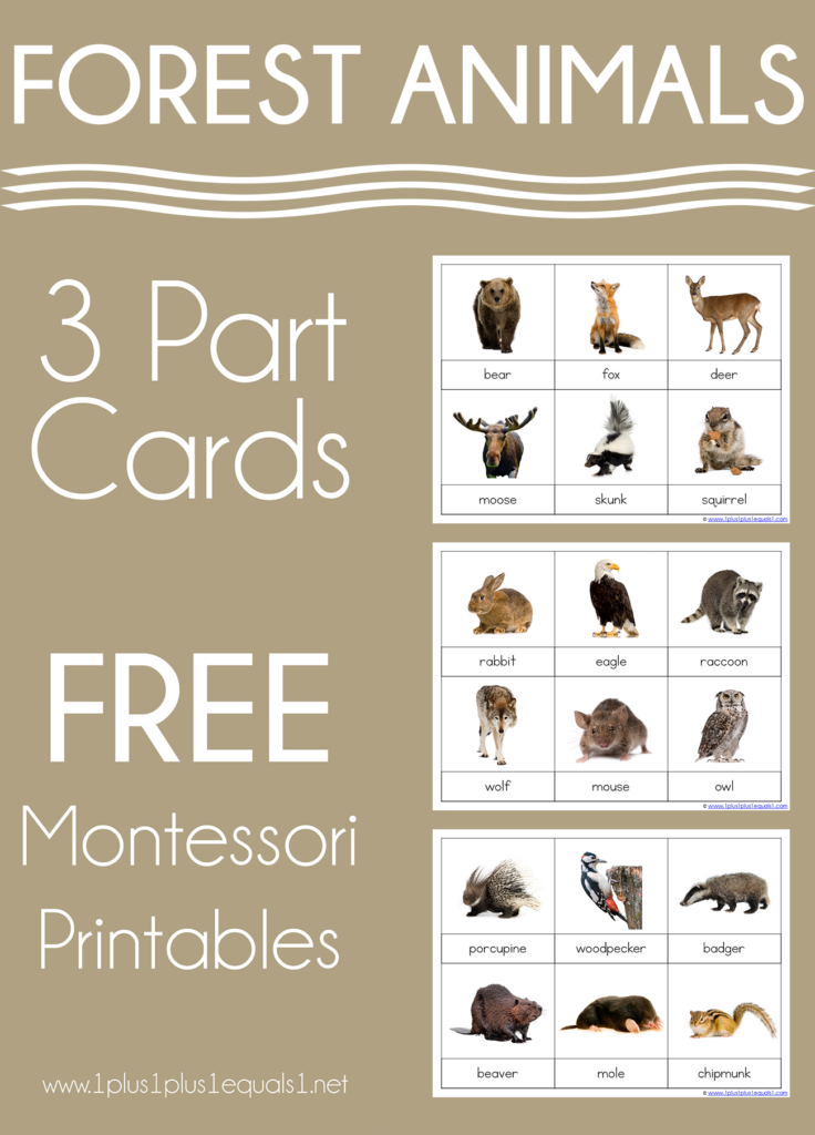 Forest Animals Montessori Printables FREE 3 Part Cards 1 1 1 1