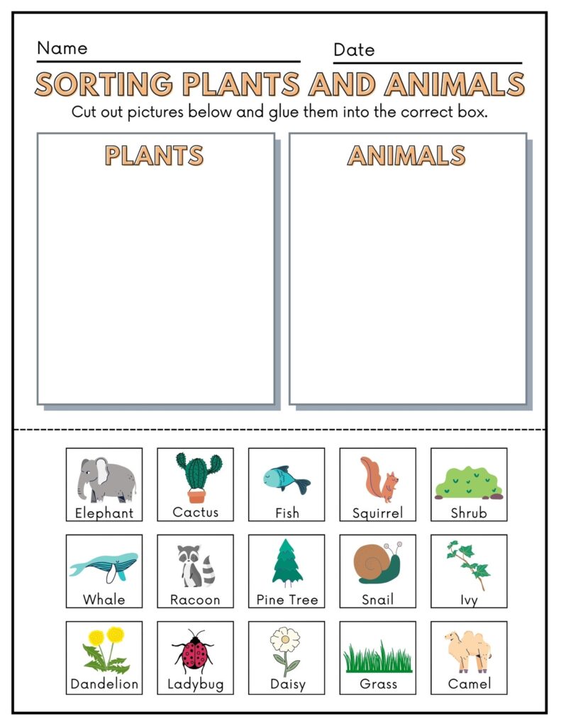 Free Printable Science Worksheets For Kindergarten