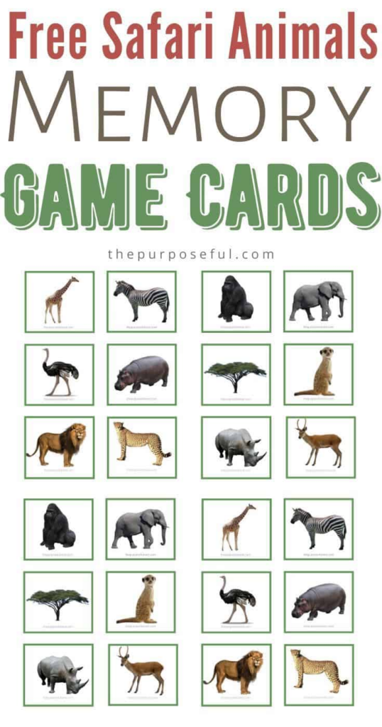 Free Printable Animal Matching Cards Animal Activities For Kids Jungle Animals Preschool Safari Activities