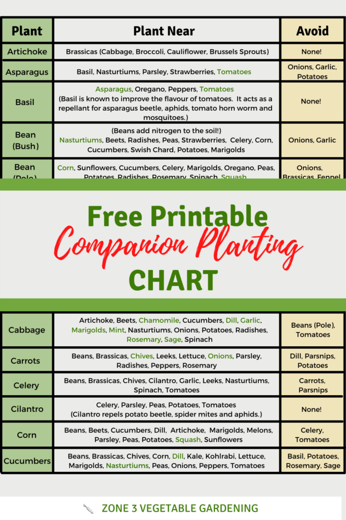 Free Printable Companion Planting Chart Companion Planting Companion Planting Chart Companion Planting Guide