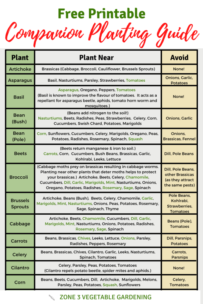 Free Printable Companion Planting Guide Companion Planting Guide Companion Planting Chart Companion Planting