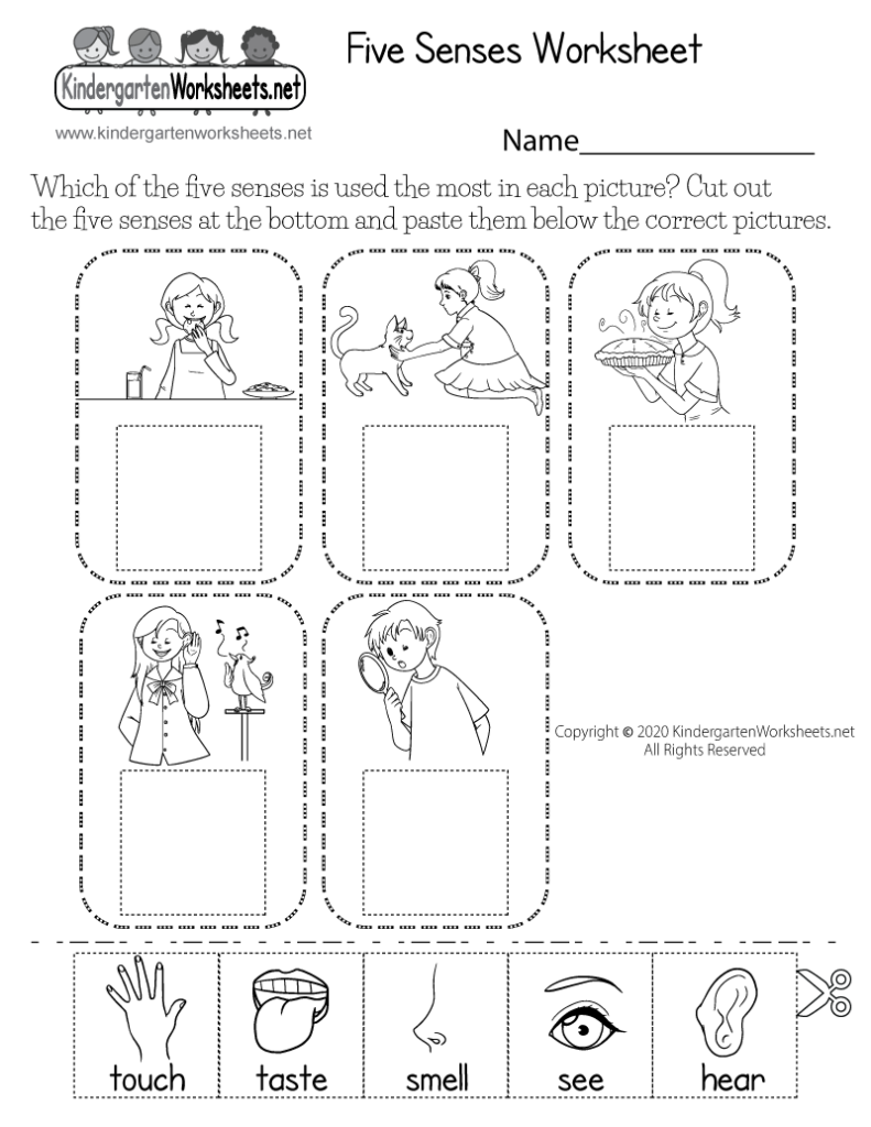 Free Printable Five Senses Worksheet For Kids