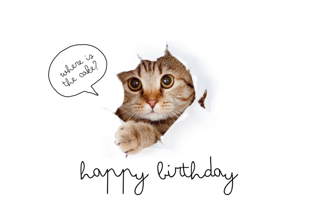 Free Printable Funny Birthday Card Templates Canva