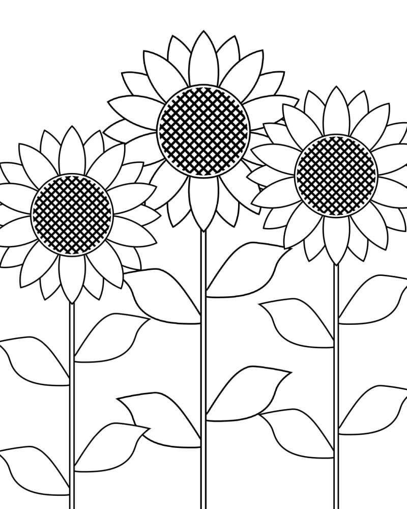 Free Printable Sunflower Garden Coloring Page Mama Likes This