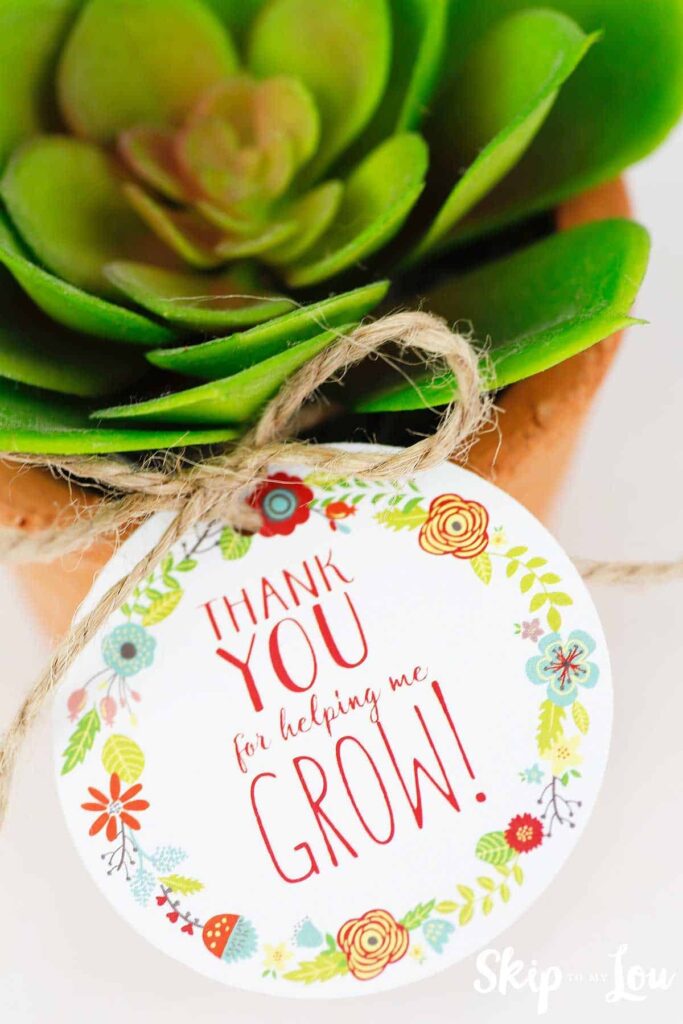 FREE Printable Thank You For Helping Me Grow Gift Tags Skip To My Lou