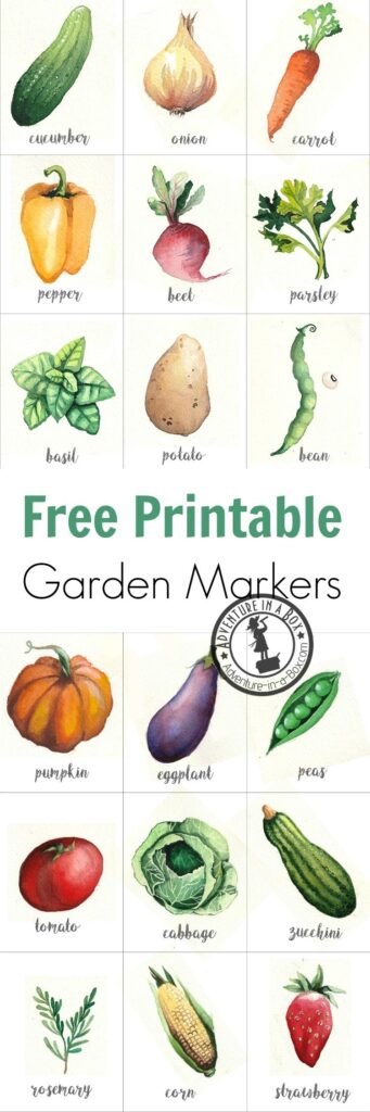 Free Printable Watercolour Garden Markers