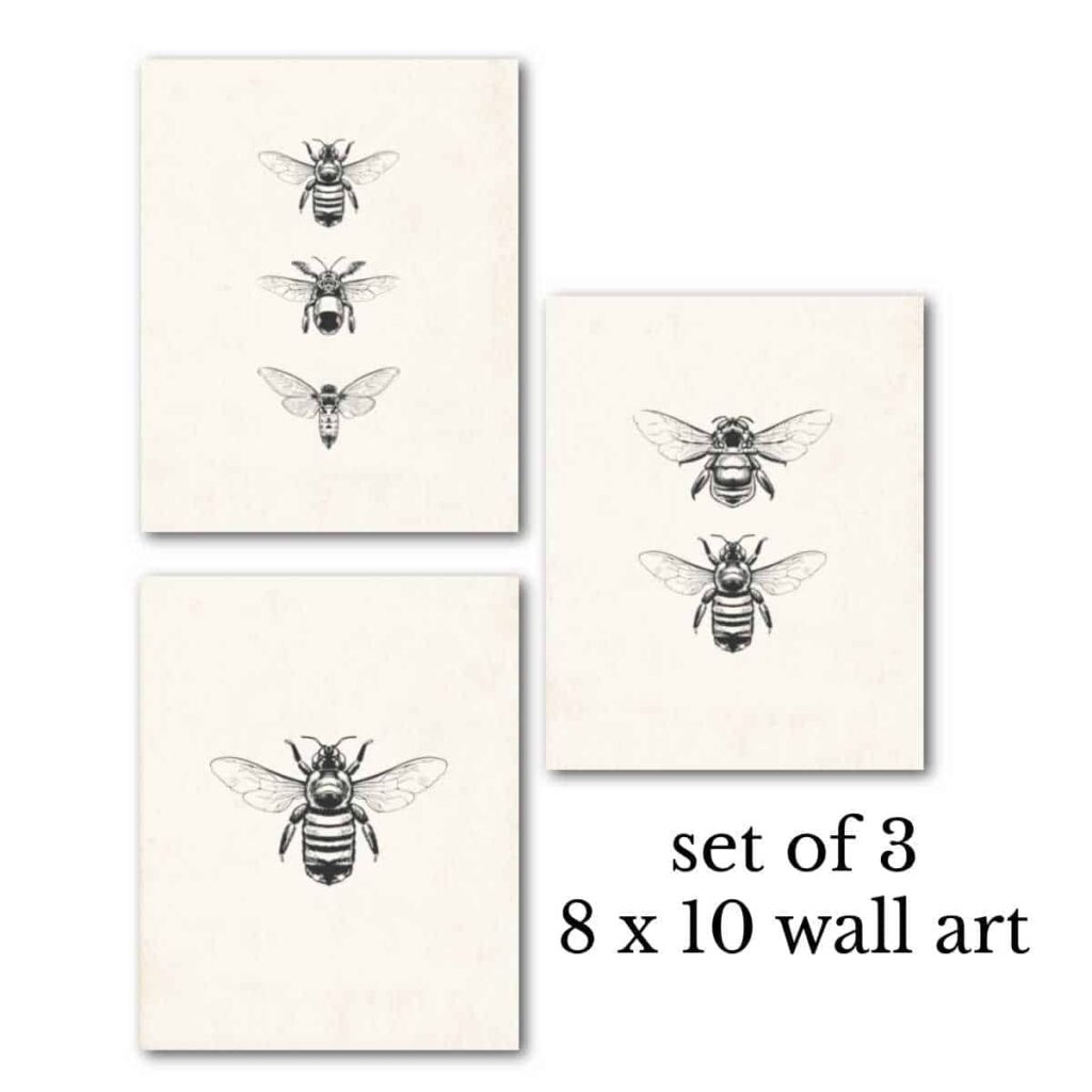 Free Vintage Bee Printables Heart s Content Farmhouse
