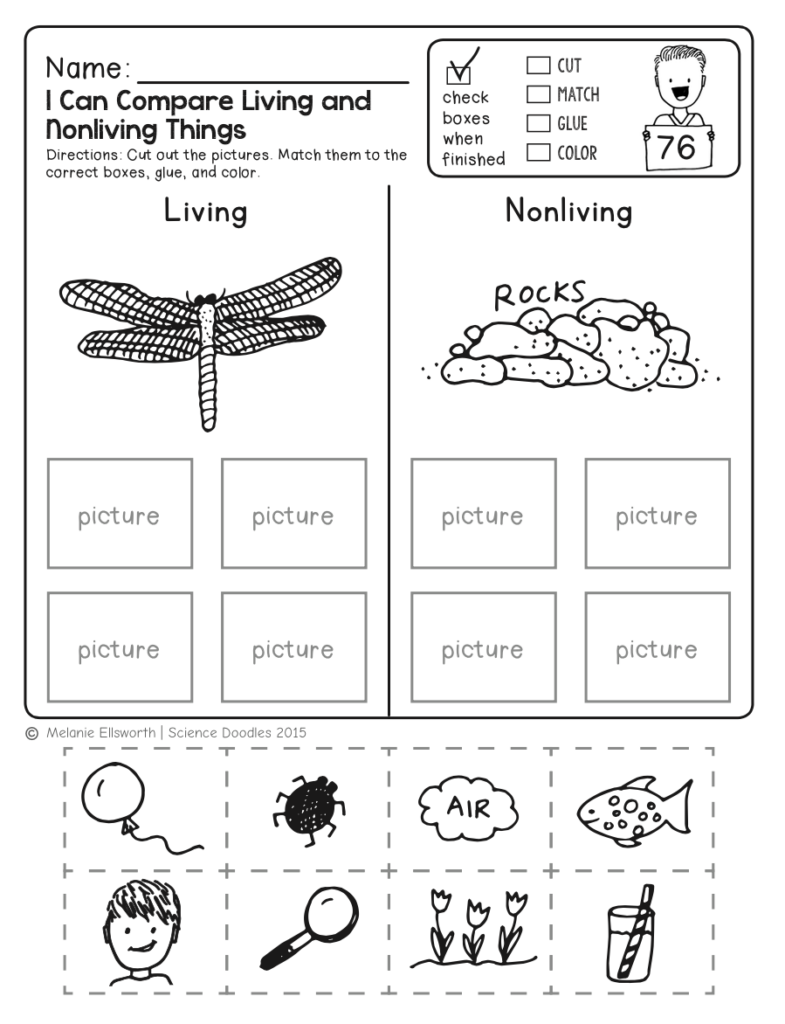FREEBIE NO PREP Kindergarten Science Doodle Printables Free Science Worksheets Kindergarten Science Science Doodles