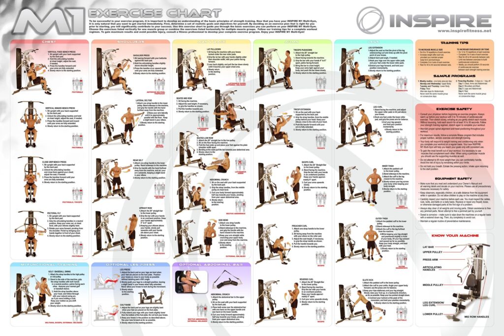 Home Gym Exercises Chart Pdf Infoupdate Gym Workout Chart Workout Chart Total Gym Exercise Chart