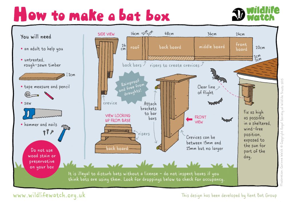 How To Build A Bat Box The Wildlife Trusts