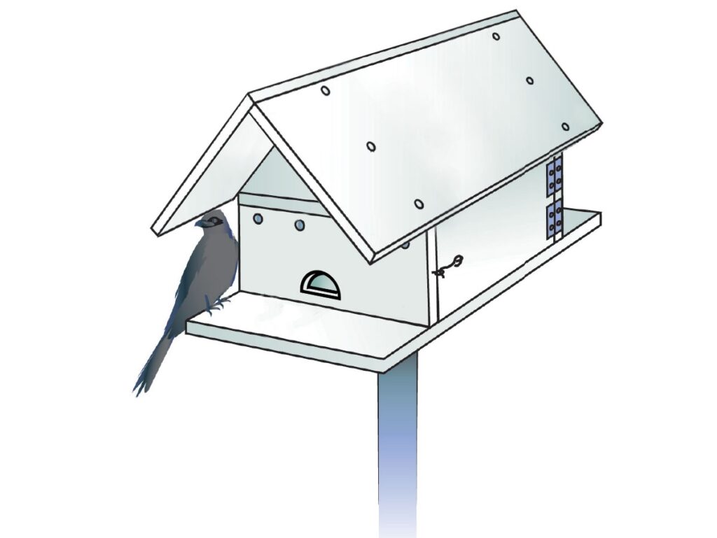 How To Build A Purple Martin House To Attract Bug Eating Birds Scout Life Magazine