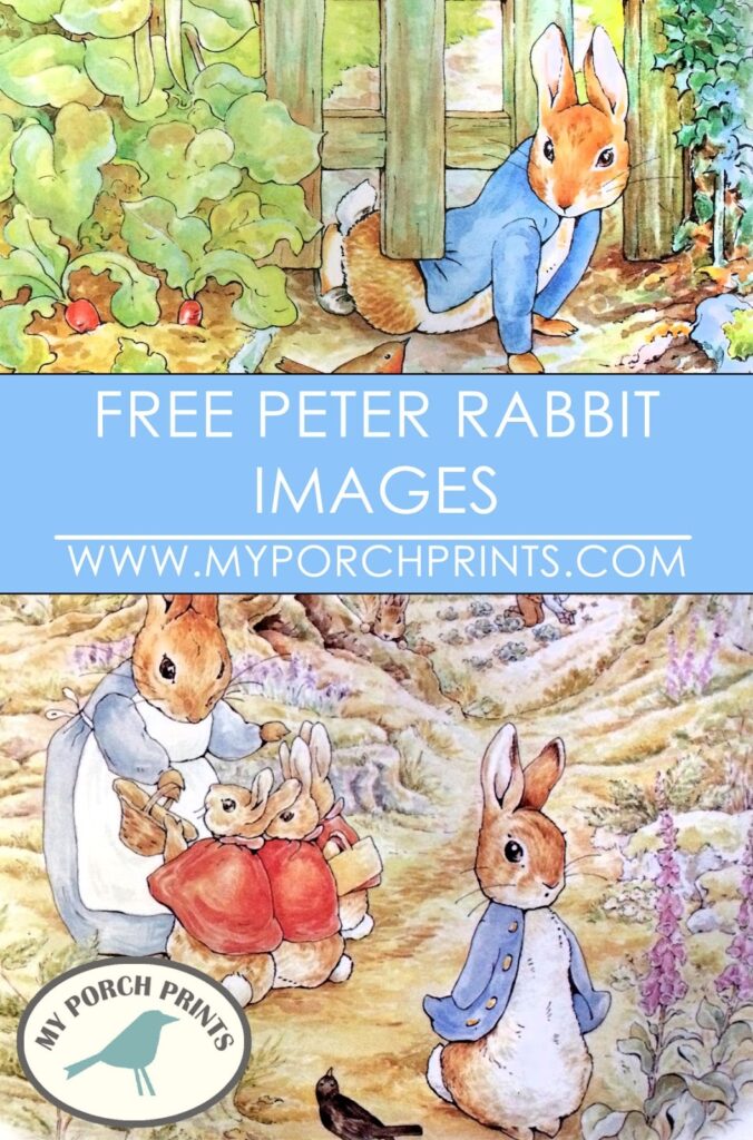 My Porch Prints Freebie Friday Peter Rabbit Images