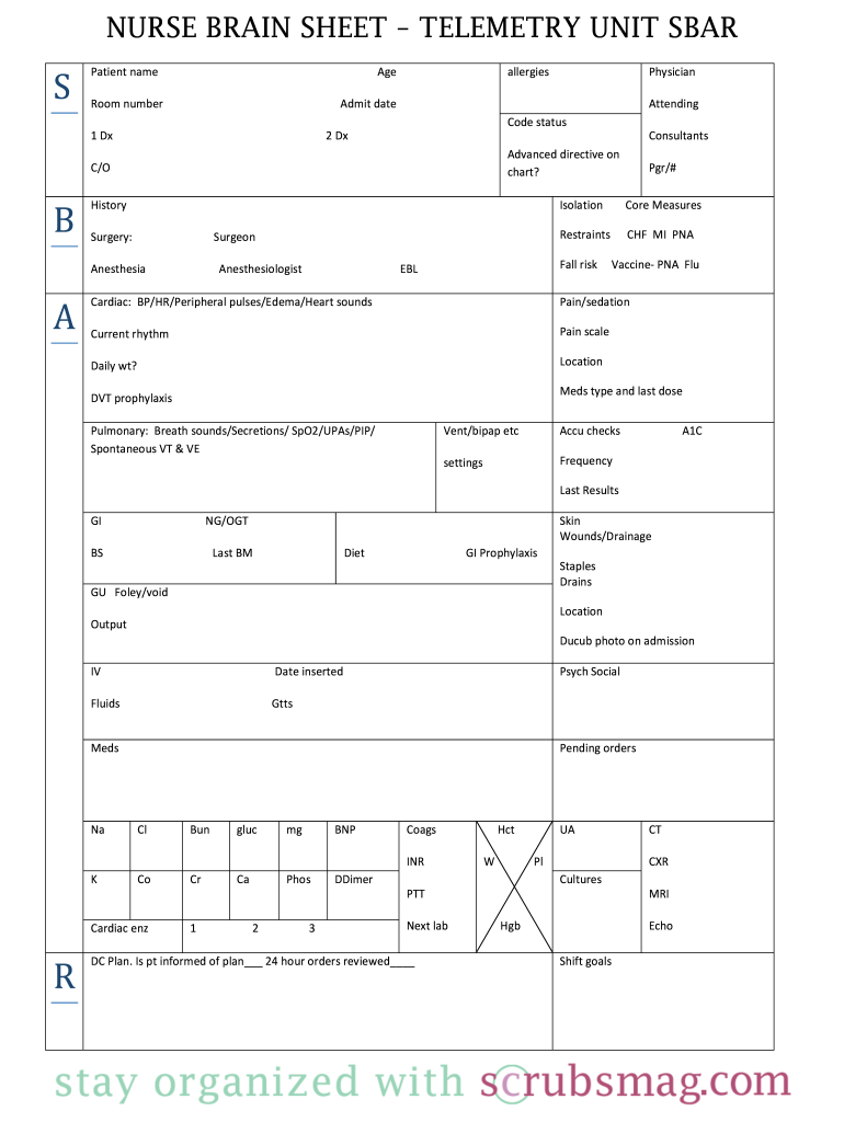 Nurse Brain Sheet Editable Fill Out Sign Online DocHub