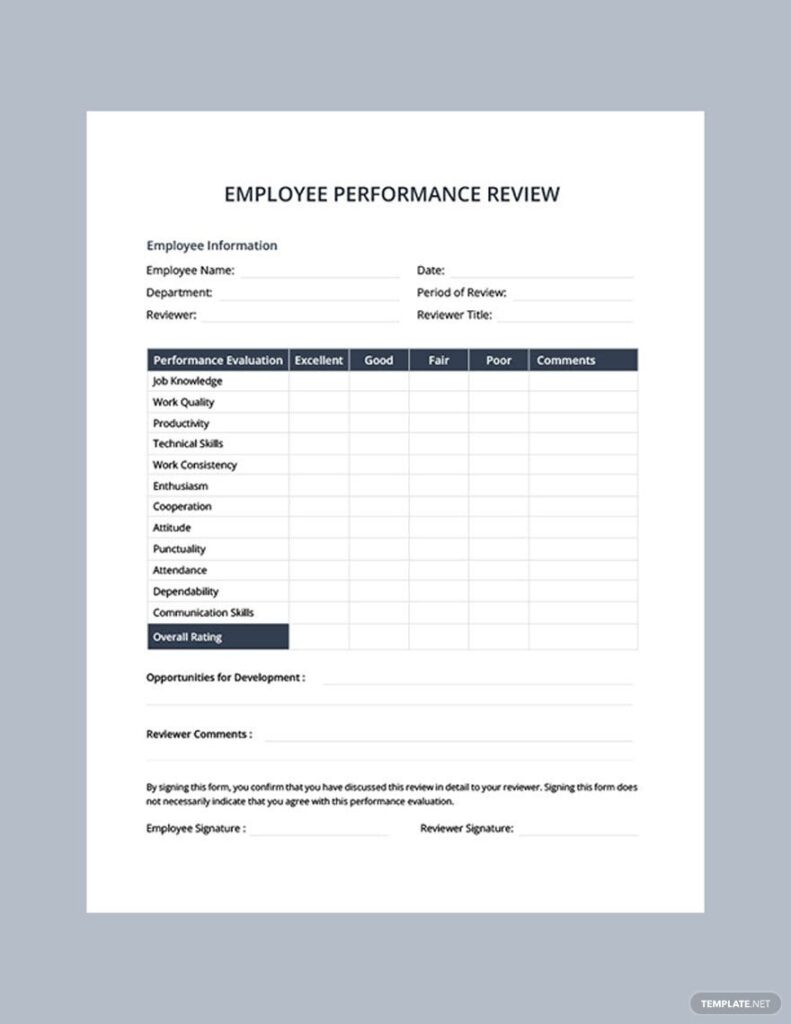 Performance Evaluation Template Google Docs Word Apple Pages PDF Template