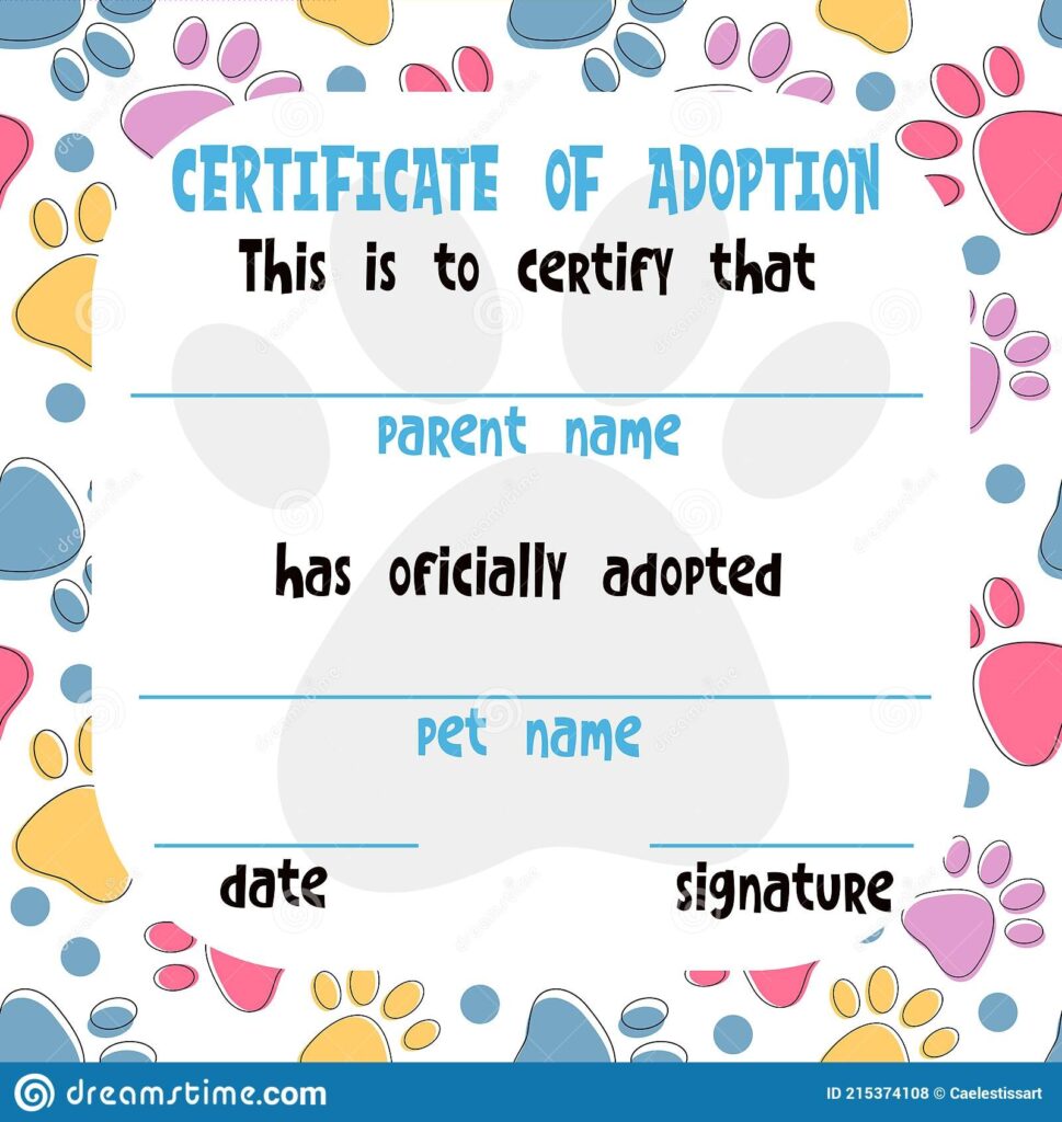 Pet Adoption Certificate Vector Template Design Printable Page For Pet Shelter Pet Shops Vets Stock Vector Illustration Of Animal Home 215374108