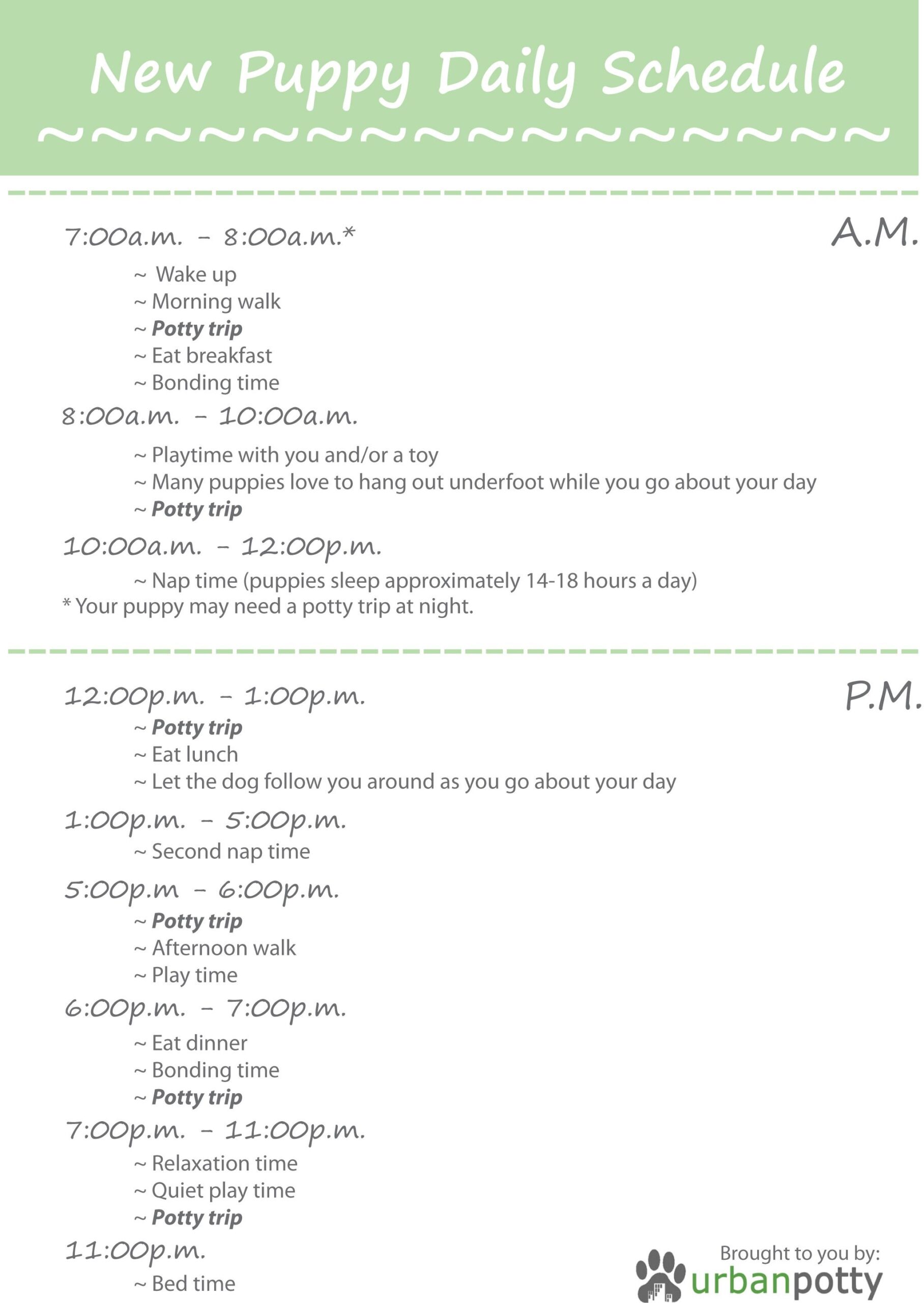 Printable Checklist By Urban Potty New Puppy Daily Schedule Puppy Training Schedule Puppy Training Potty Training Puppy