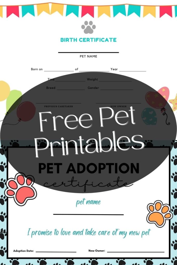 Pet Adoption Certificate Free Printable