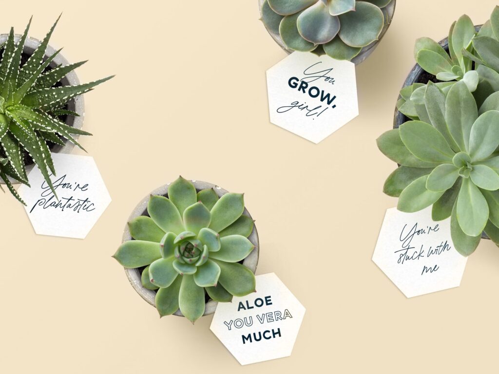 Free Printable Succulent Gift Tags