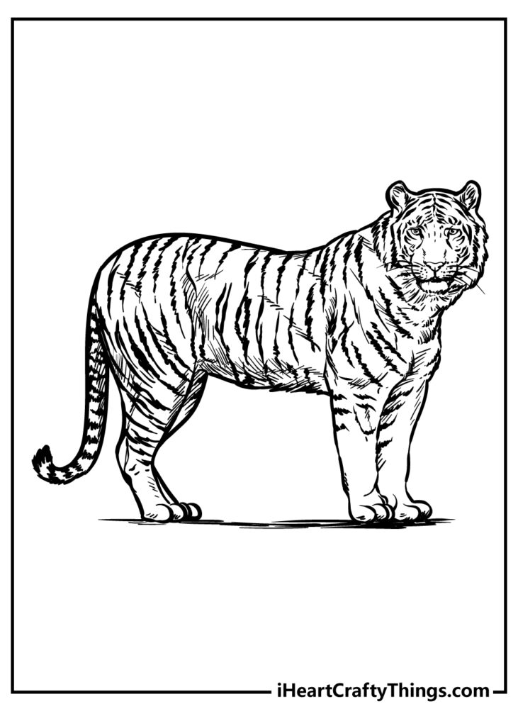 Printable Zoo Animals Coloring Pages Updated 2022 
