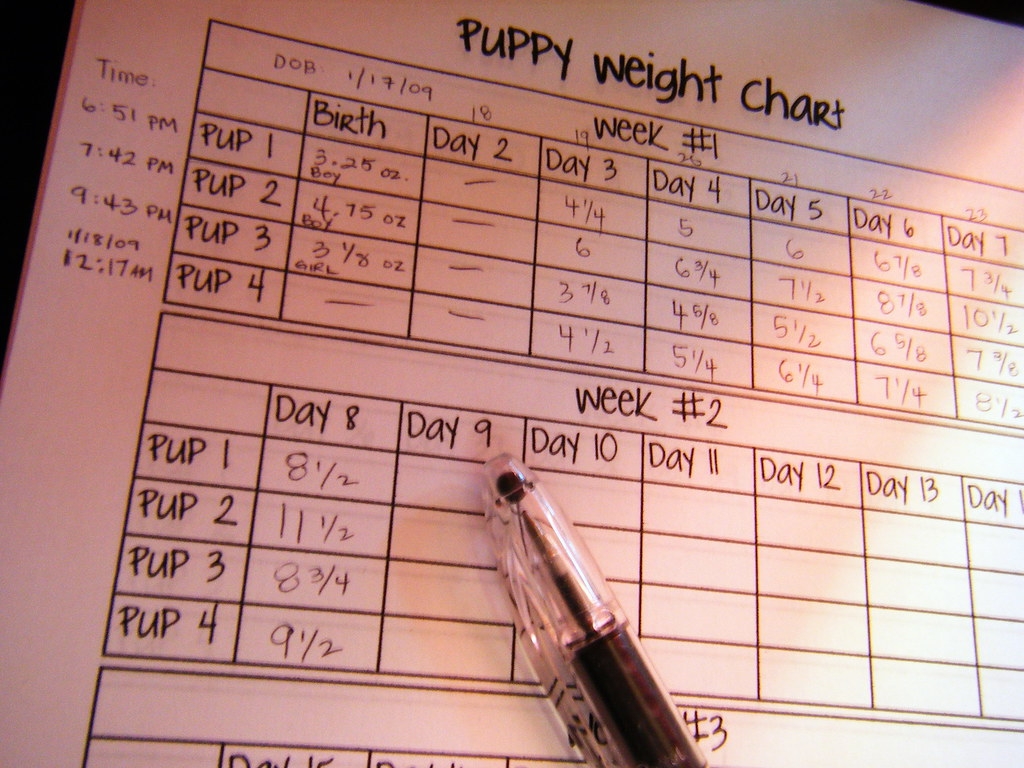 Free Printable Puppy Weight Puppy Whelping Chart