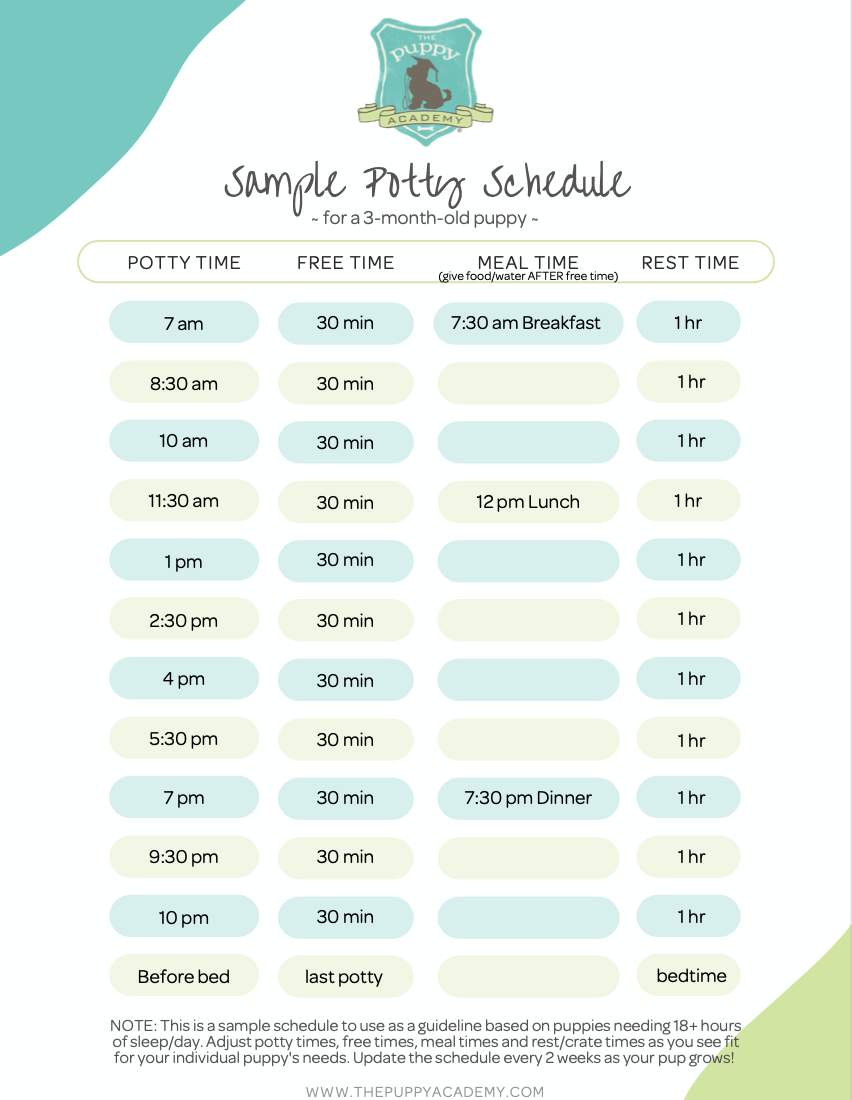 Printable Puppy Potty Training Schedule