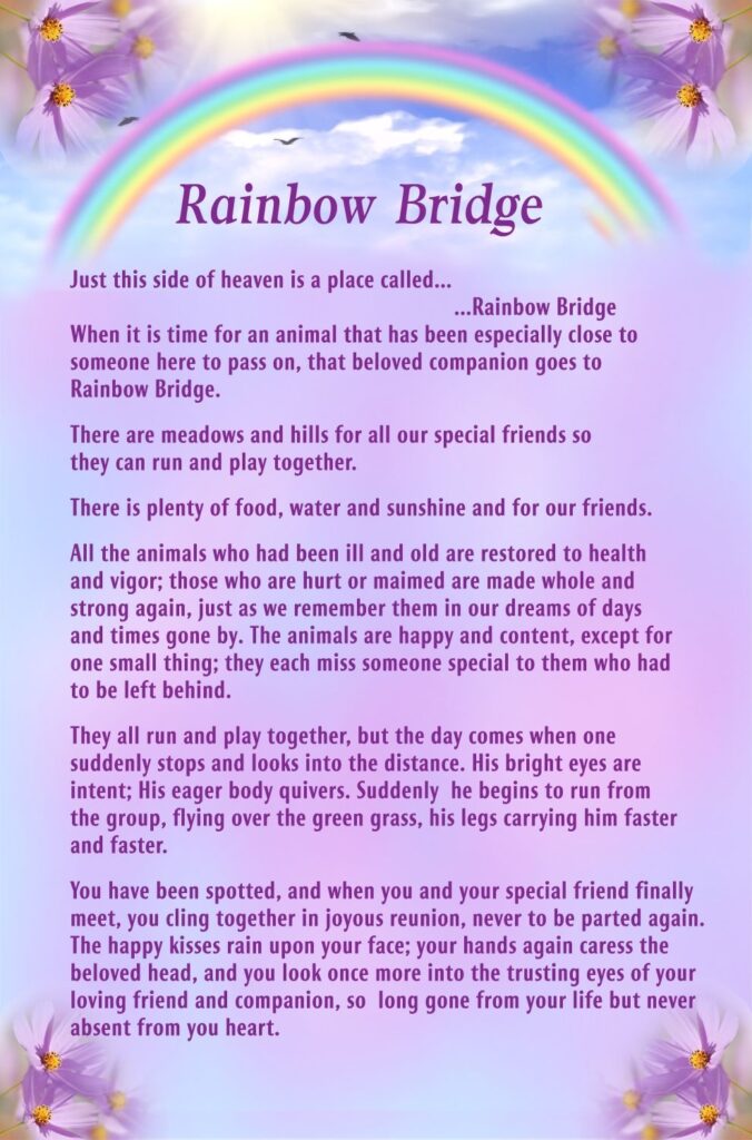 Rainbow Bridge Google Search Rainbow Bridge Poem Rainbow Bridge Pet Poems