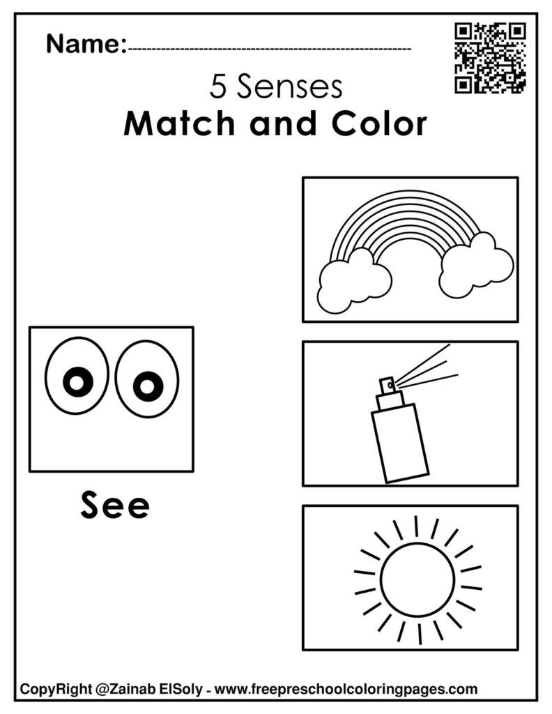 Set Of 5 Senses Activities For Kids