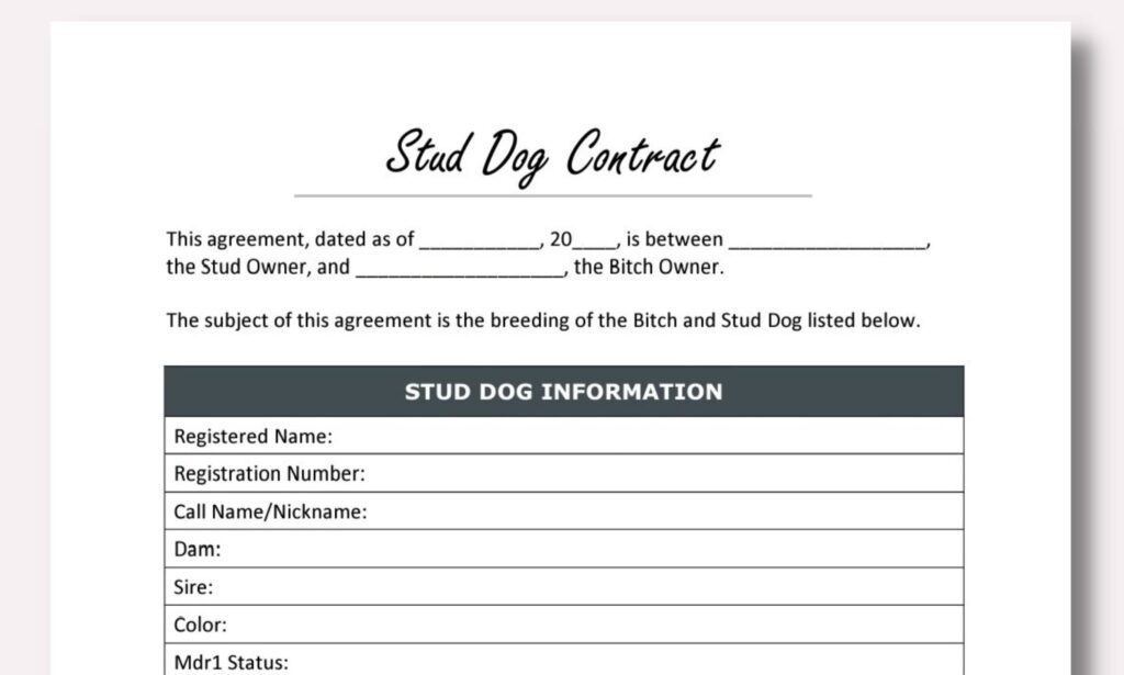 Stud Dog Contract Template Etsy de