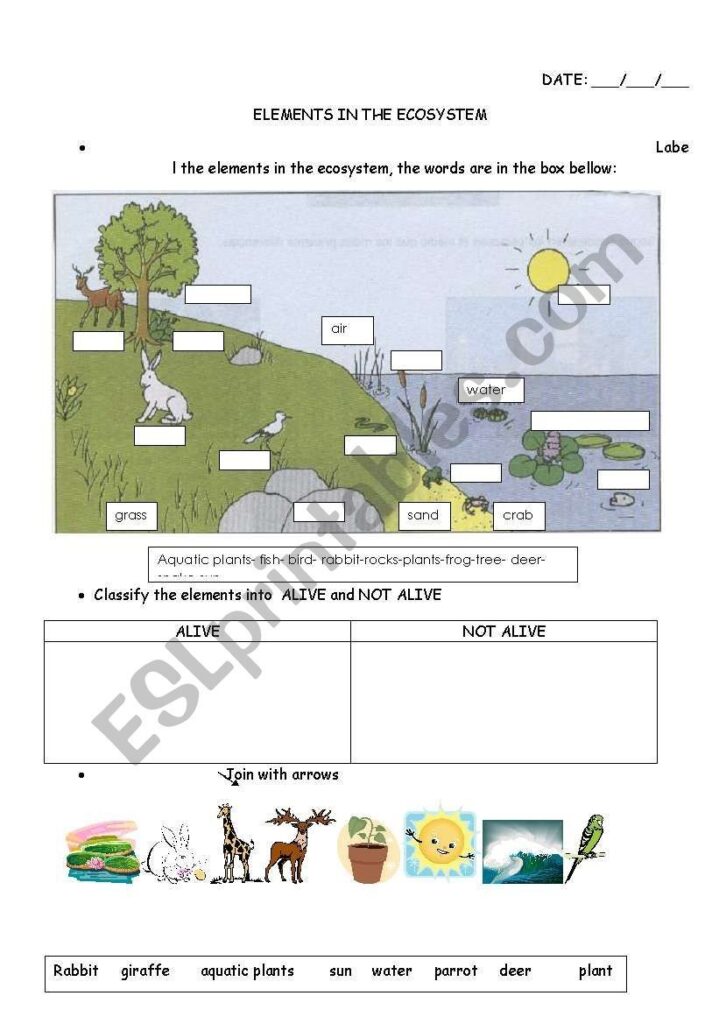 Students Name Elements Present In The Ecosystem And Then Classify Them In Alive And Not Alive Ecosystems Earth Science Activities Kids Worksheets Printables