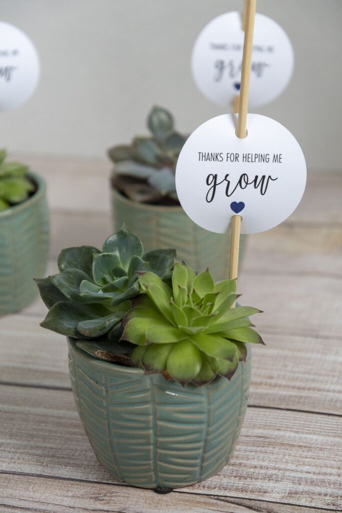 Succulent Gift Tags For Business Marketing Teacher Gift Tags Succulent Gifts Teacher Gift Printables