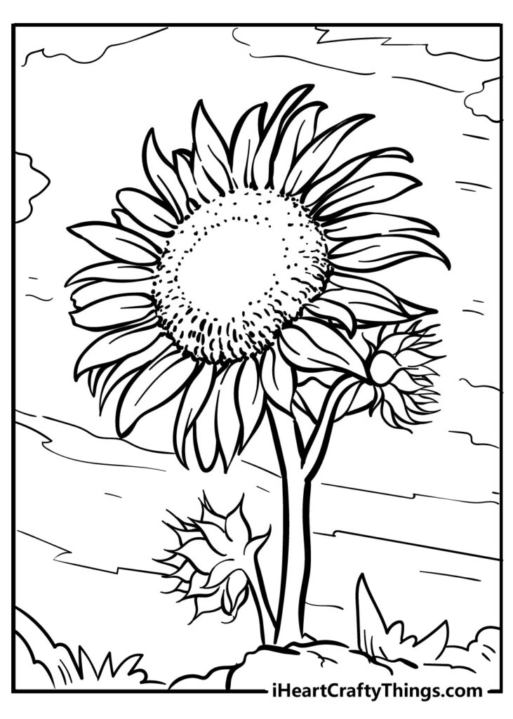 Sunflower Coloring Pages Updated 2022 